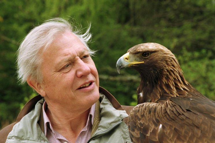 David Attenborough