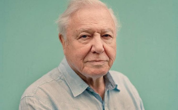 David Attenborough