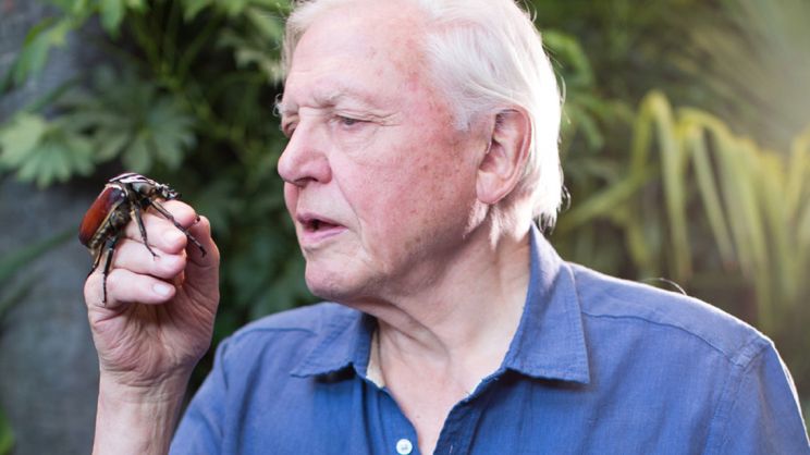 David Attenborough