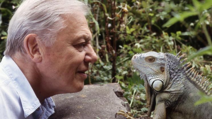 David Attenborough