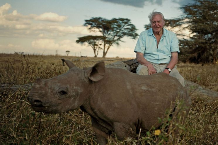 David Attenborough