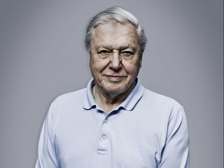 David Attenborough