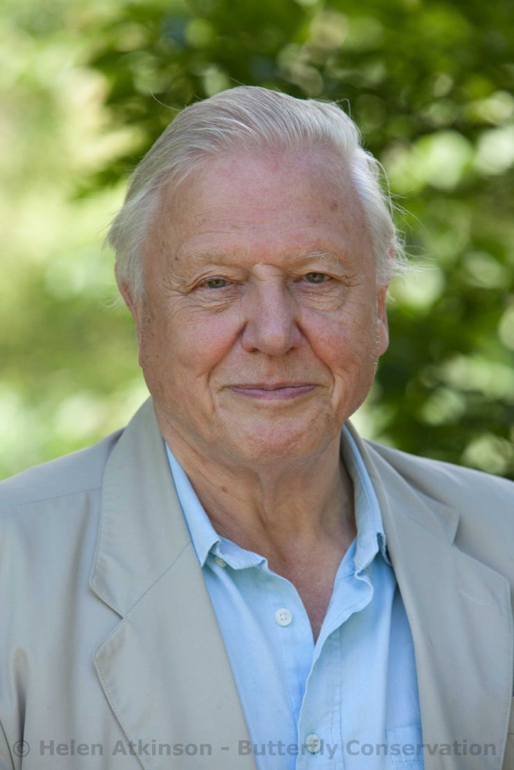 David Attenborough