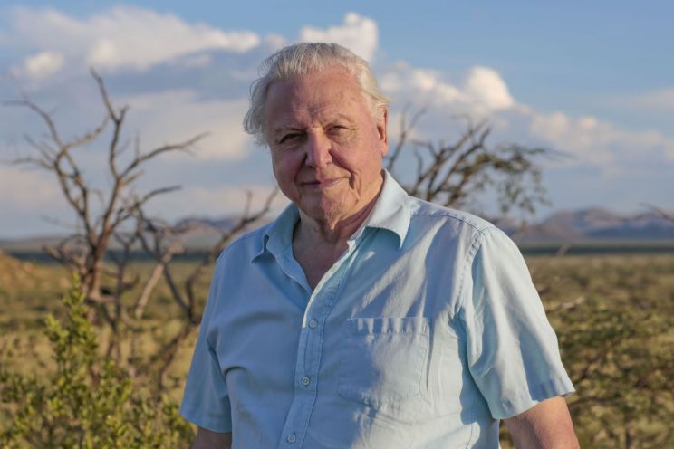 David Attenborough