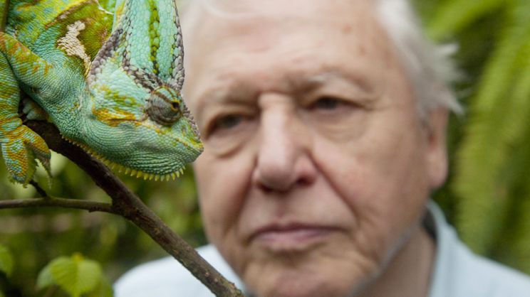 David Attenborough