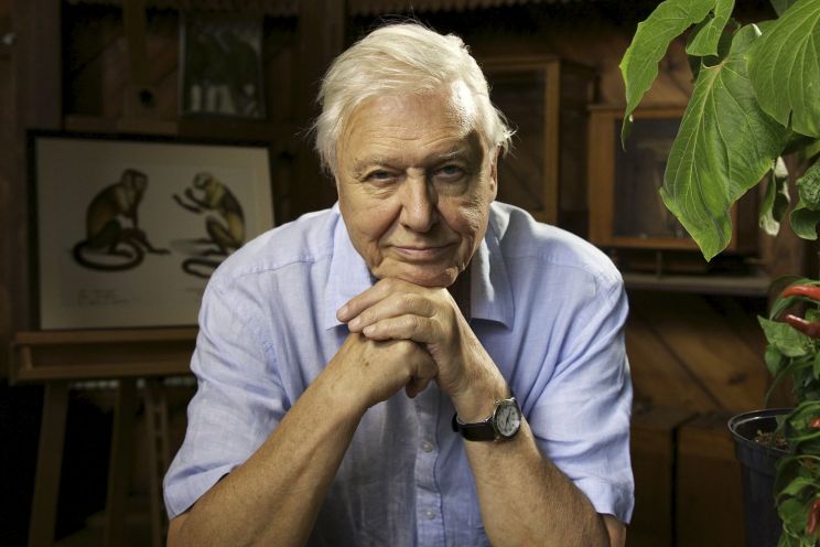 David Attenborough