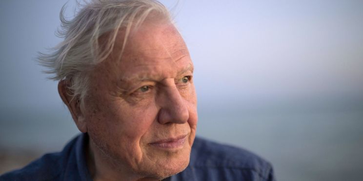 David Attenborough