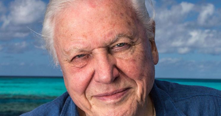 David Attenborough