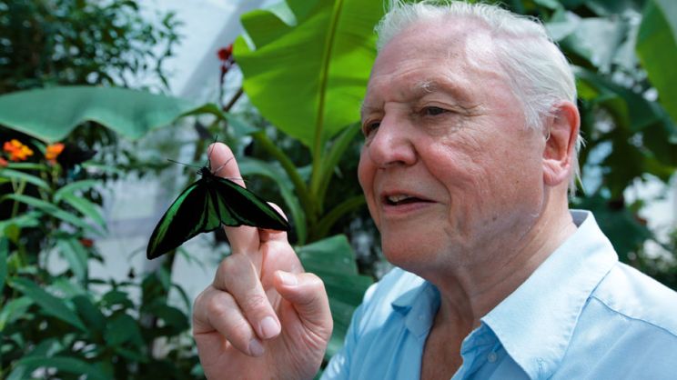 David Attenborough