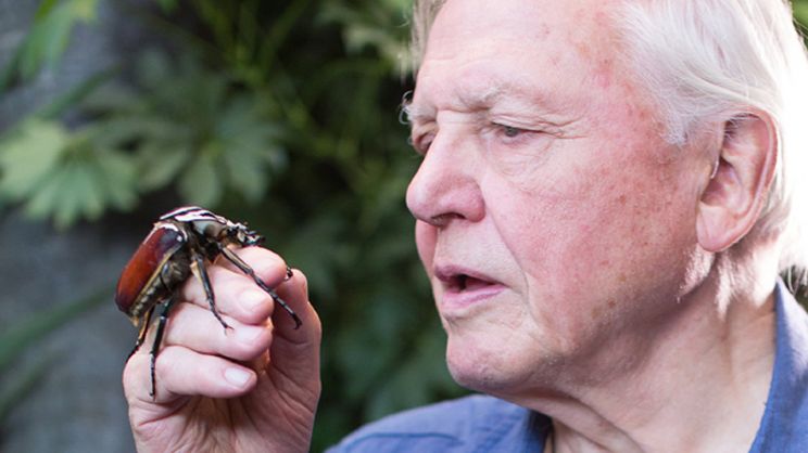 David Attenborough