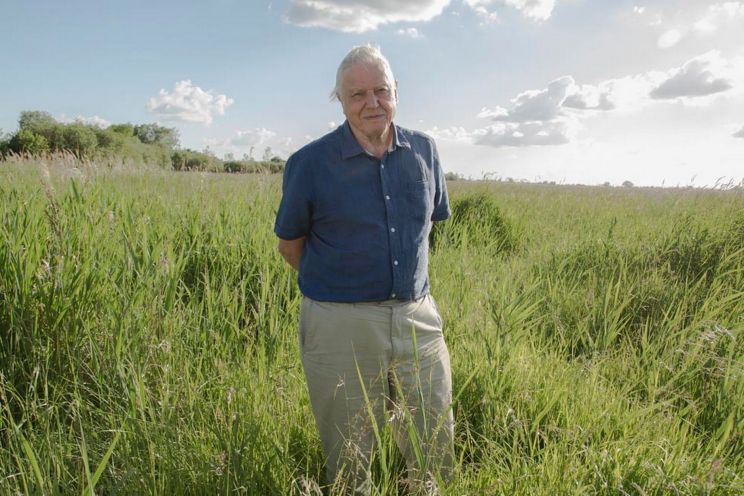 David Attenborough