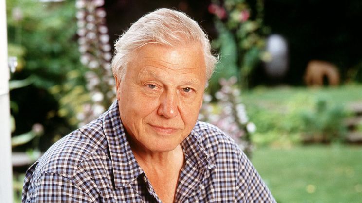 David Attenborough