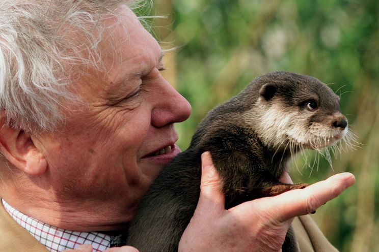 David Attenborough