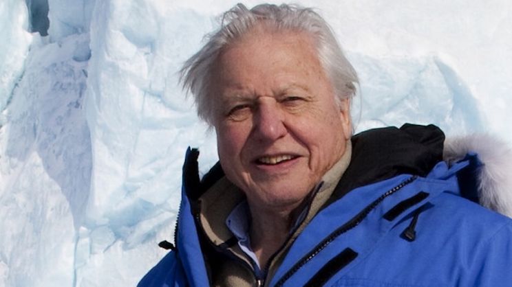 David Attenborough