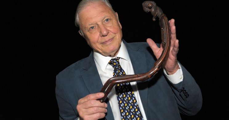 David Attenborough