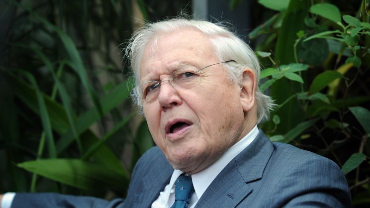 David Attenborough