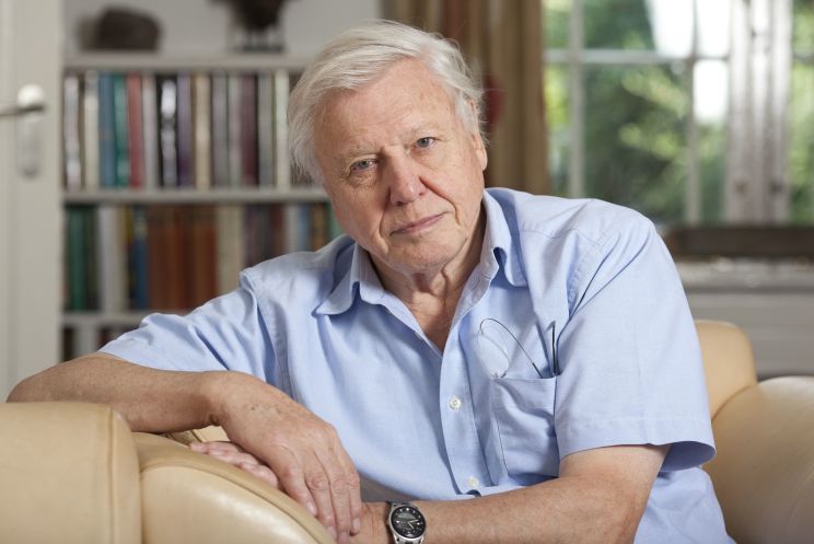 David Attenborough