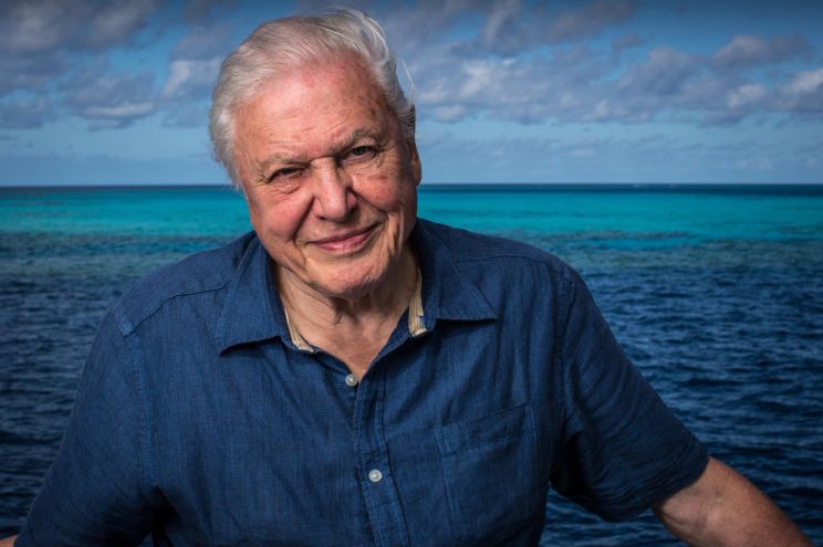 David Attenborough