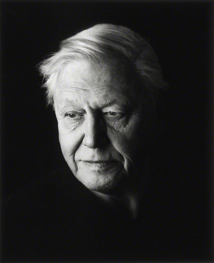 David Attenborough