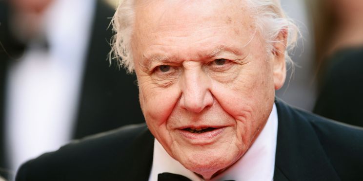 David Attenborough