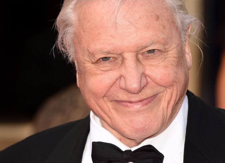 David Attenborough