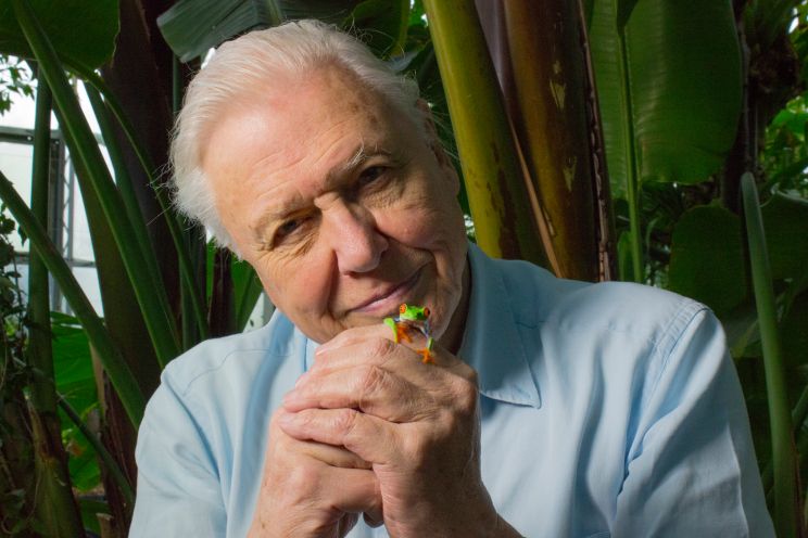 David Attenborough