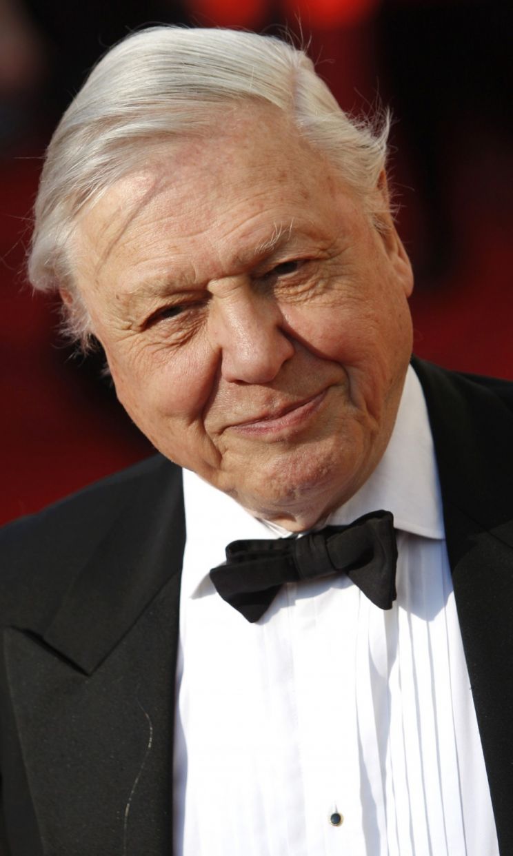 David Attenborough