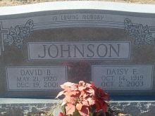 David B. Johnson