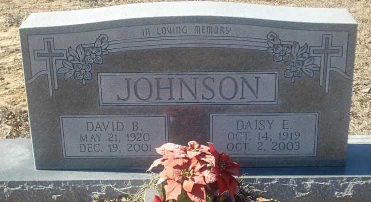 David B. Johnson