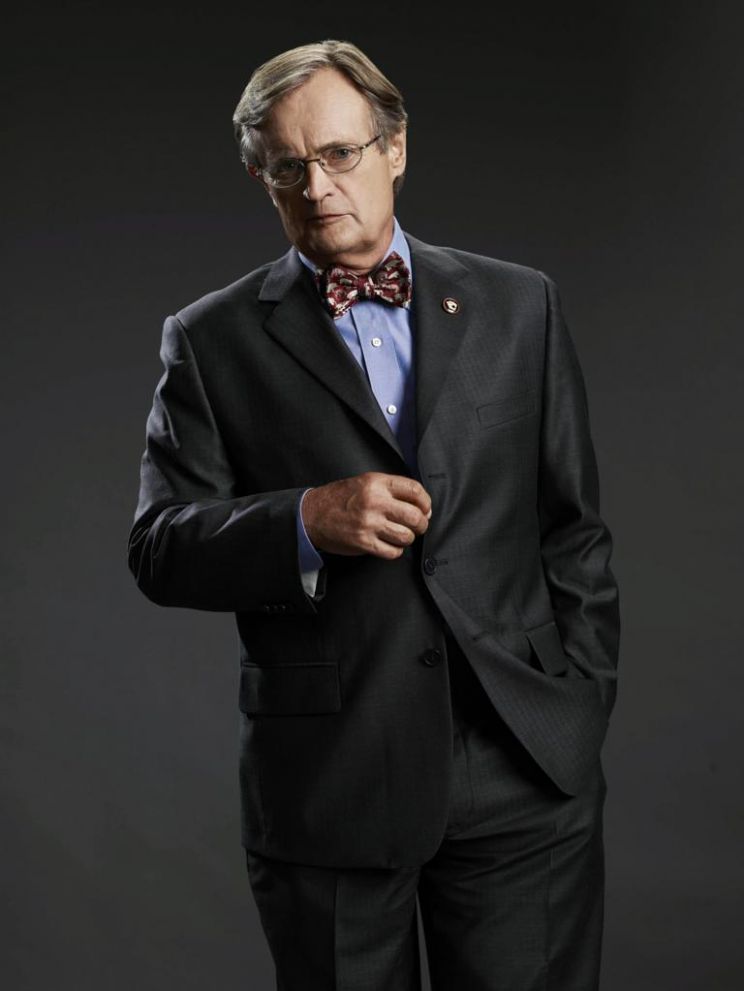 David Bellisario