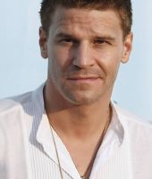 David Boreanaz