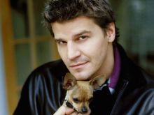 David Boreanaz