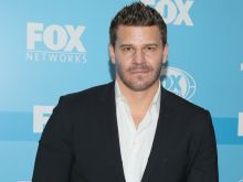 David Boreanaz