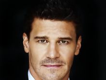 David Boreanaz