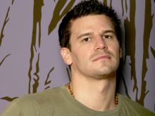 David Boreanaz