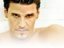 David Boreanaz