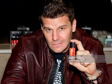 David Boreanaz