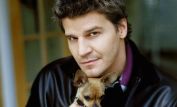 David Boreanaz