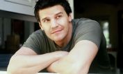 David Boreanaz