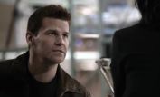 David Boreanaz