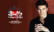 David Boreanaz