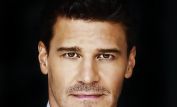 David Boreanaz