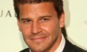 David Boreanaz