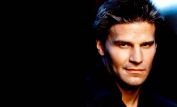 David Boreanaz