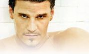 David Boreanaz