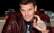 David Boreanaz