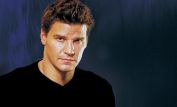 David Boreanaz