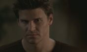 David Boreanaz