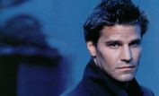 David Boreanaz