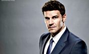 David Boreanaz